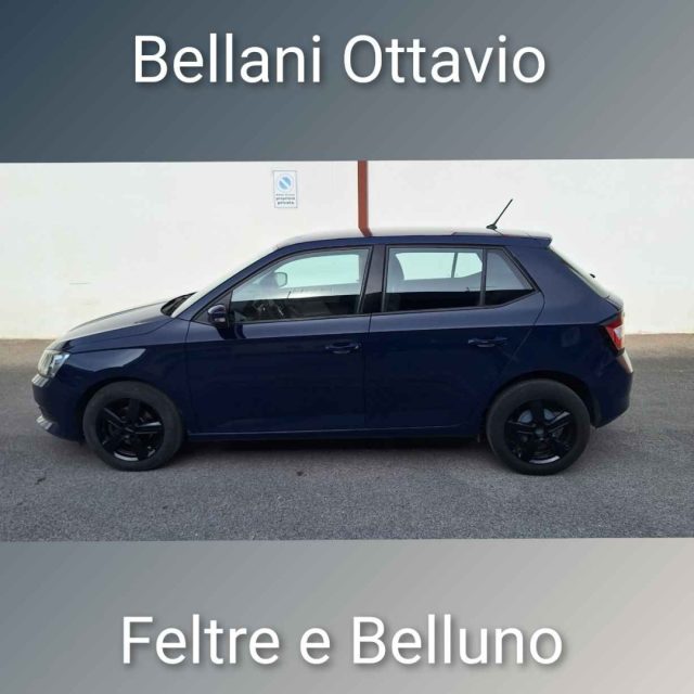 Skoda Fabia 1.4 TDI 75 CV Executive - foto 4 di 4