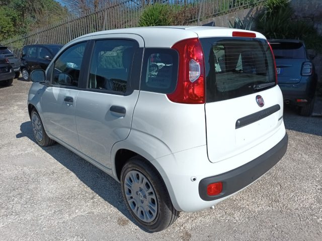 Fiat Panda 1000 HYBRID PANDINA ICON 65CV PACKCITY ITALIA - foto 4 di 4