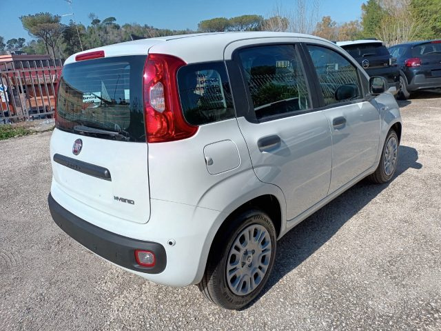 Fiat Panda 1000 HYBRID PANDINA ICON 65CV PACKCITY ITALIA - foto 3 di 4