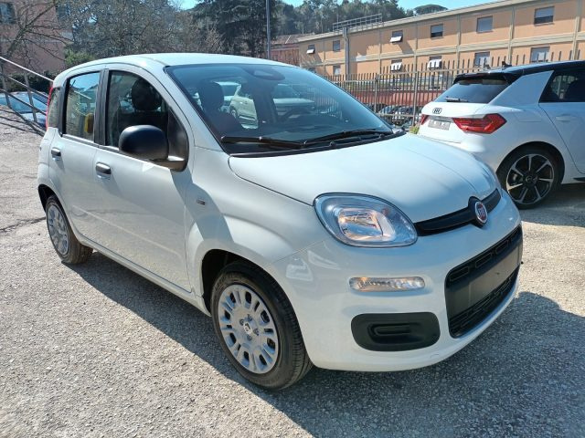 Fiat Panda 1000 HYBRID PANDINA ICON 65CV PACKCITY ITALIA - foto 2 di 4