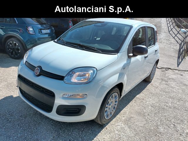 Fiat Panda 1000 HYBRID PANDINA ICON 65CV PACKCITY ITALIA usato a ROMA