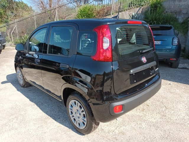 Fiat Panda 1000 HYBRID PANDINA ICON 70CV 5P PACKCITY ITALIA - foto 3 di 4
