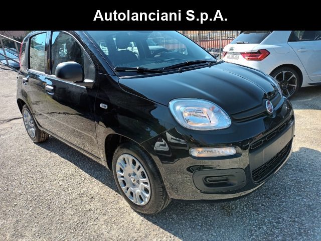 Fiat Panda 1000 HYBRID PANDINA ICON 70CV 5P PACKCITY ITALIA usato a ROMA