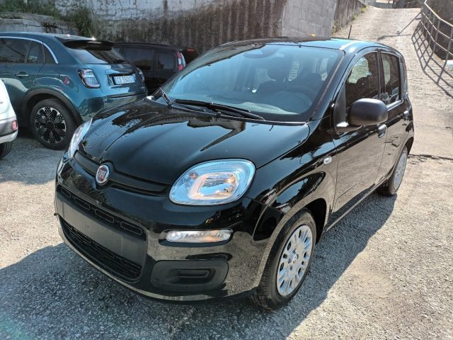 Fiat Panda 1000 HYBRID PANDINA ICON 70CV 5P PACKCITY ITALIA - foto 2 di 4
