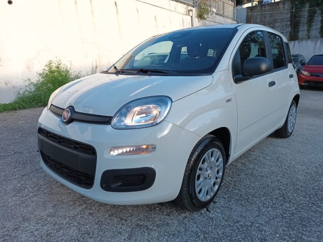 Fiat Panda 1000 HYBRID PANDINA ICON 70CV 5P PACKCITY ITALIA - foto 2 di 4