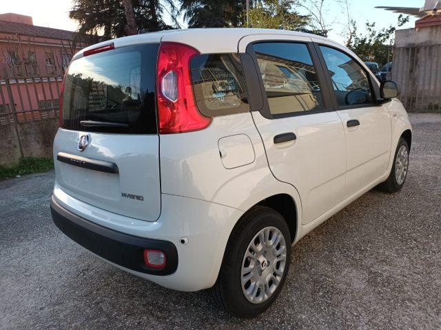Fiat Panda 1000 HYBRID PANDINA ICON 70CV 5P PACKCITY ITALIA - foto 4 di 4