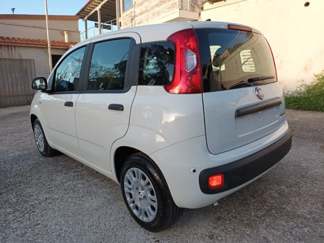 Fiat Panda 1000 HYBRID PANDINA ICON 70CV 5P PACKCITY ITALIA - foto 3 di 4