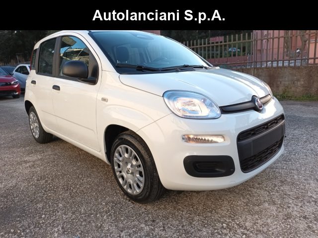 Fiat Panda 1000 HYBRID PANDINA ICON 70CV 5P PACKCITY ITALIA usato a ROMA