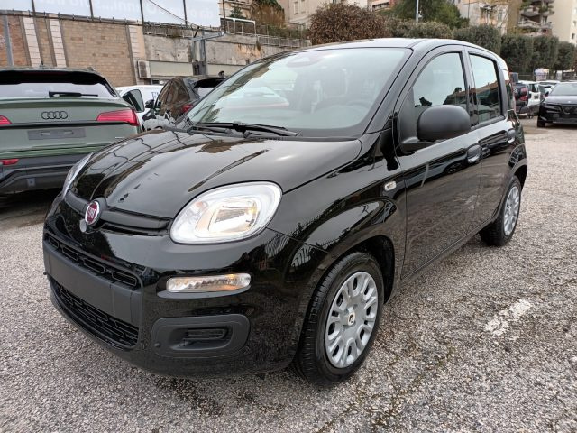 Fiat Panda 1000 HYBRID PANDINA POP 65CV ITALIA - foto 2 di 4