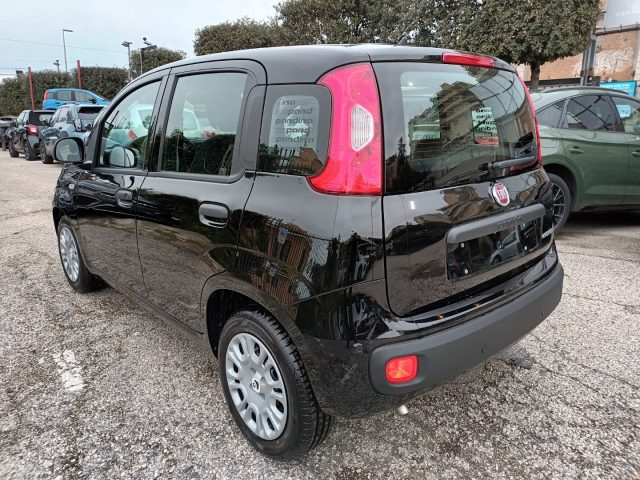 Fiat Panda 1000 HYBRID PANDINA POP 65CV ITALIA - foto 3 di 4