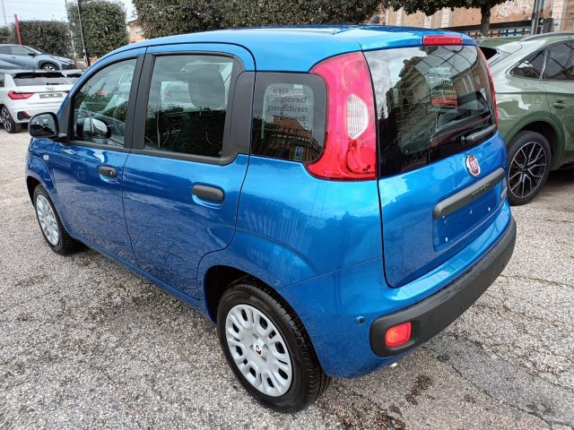 Fiat Panda 1000 HYBRID PANDINA POP 65CV ITALIA - foto 3 di 4