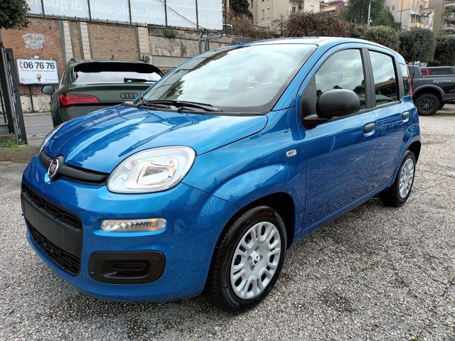 Fiat Panda 1000 HYBRID PANDINA POP 65CV ITALIA - foto 2 di 4