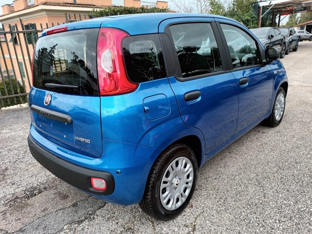 Fiat Panda 1000 HYBRID PANDINA POP 65CV ITALIA - foto 4 di 4