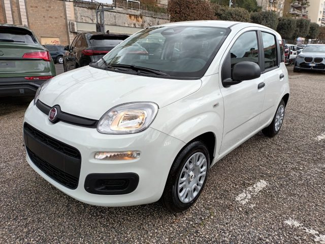 Fiat Panda 1000 HYBRID PANDINA POP 65CV ITALIA - foto 2 di 4