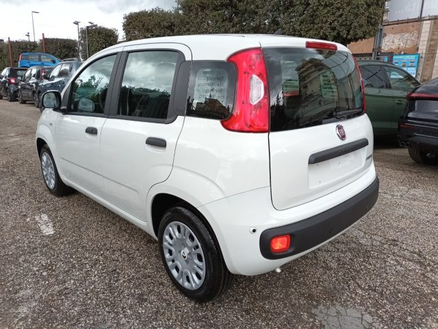 Fiat Panda 1000 HYBRID PANDINA POP 65CV ITALIA - foto 3 di 4