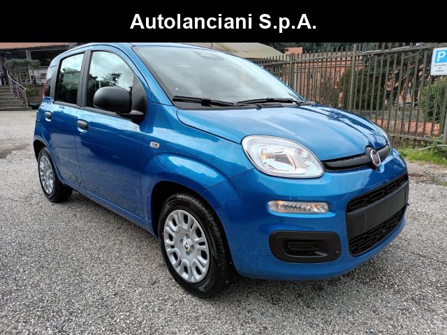 Fiat Panda 1000 HYBRID PANDINA POP 70CV ITALIA usato a ROMA