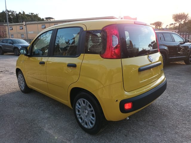Fiat Panda 1000 HYBRID PANDINA POP 65CV ITALIA - foto 3 di 4