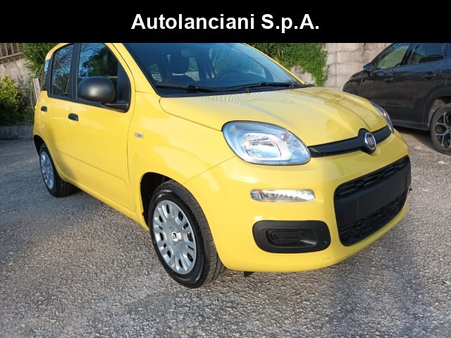 Fiat Panda 1000 HYBRID PANDINA POP 65CV ITALIA usato a ROMA