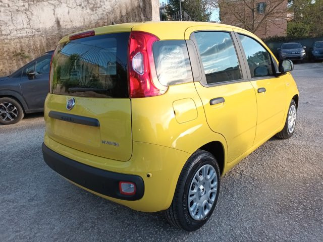 Fiat Panda 1000 HYBRID PANDINA POP 65CV ITALIA - foto 4 di 4
