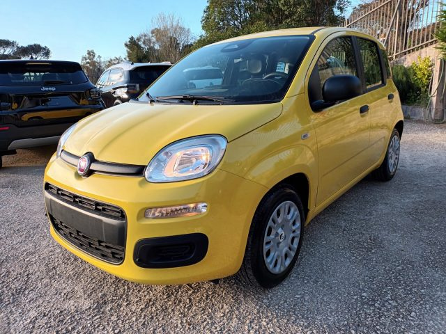 Fiat Panda 1000 HYBRID PANDINA POP 65CV ITALIA - foto 2 di 4