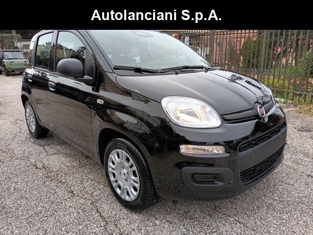 Fiat Panda 1000 HYBRID PANDINA POP 70CV ITALIA usato a ROMA