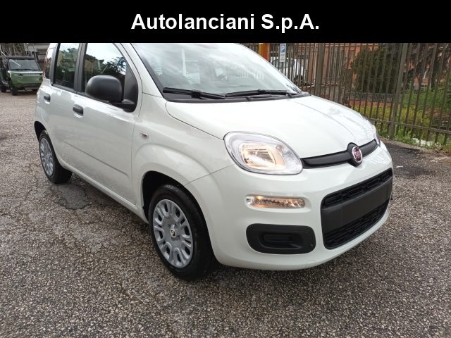 Fiat Panda 1000 HYBRID PANDINA POP 70CV ITALIA usato a ROMA