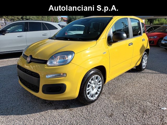 Fiat New Panda 1000 HYBRID 70 CV PDC ITALIA usato a ROMA