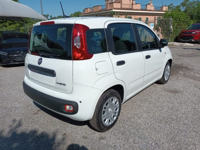 Fiat Panda 1000 HYBRID 70 CV PACK CITY 5 POSTI USB ITALIA - foto 3 di 4