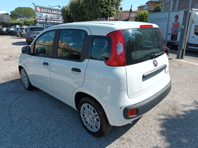 Fiat Panda 1000 HYBRID 70 CV PACK CITY 5 POSTI USB ITALIA - foto 4 di 4