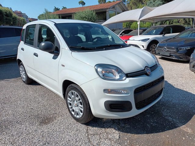 Fiat Panda 1000 HYBRID 70 CV PACK CITY 5 POSTI USB ITALIA - foto 2 di 4