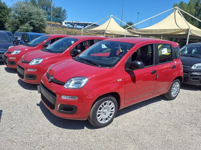 Fiat Panda 1000 HYBRID 70 CV PDC ITALIA - foto 3 di 4
