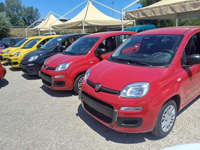 Fiat Panda 1000 HYBRID 70 CV PDC ITALIA - foto 4 di 4