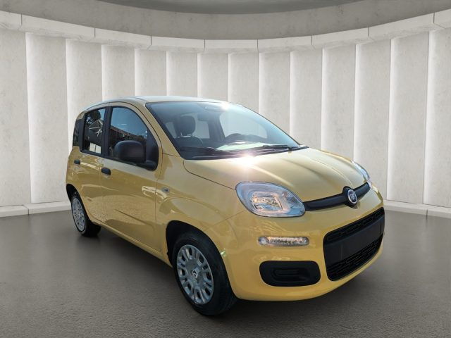Fiat New Panda 1000 HYBRID 70 CV PDC ITALIA - foto 3 di 4