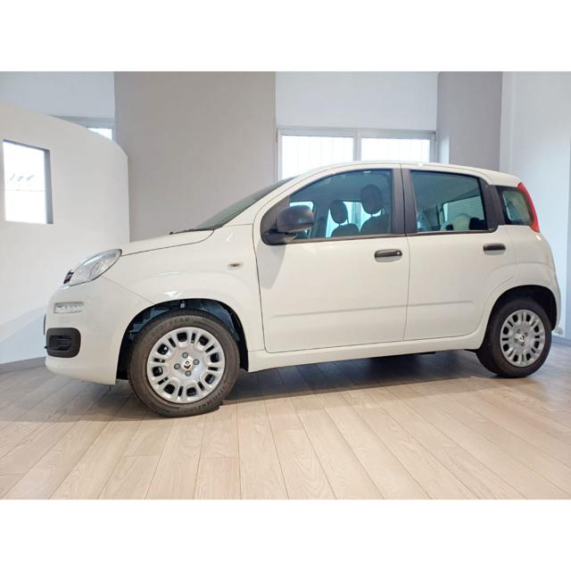Fiat Pandina 1.0 FireFly S&S Hybrid] ADAS PACK CITY - foto 2 di 4