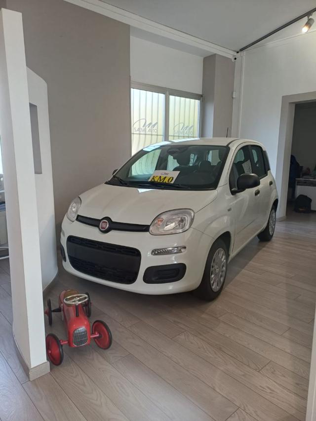 Fiat Pandina 1.0 FireFly 65 CV Hybrid Icon, del 2026, in vendita a Domodossola (VB)