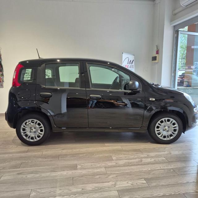 Fiat Pandina 1.0 FireFly 65 CV Hybrid Icon - foto 2 di 12