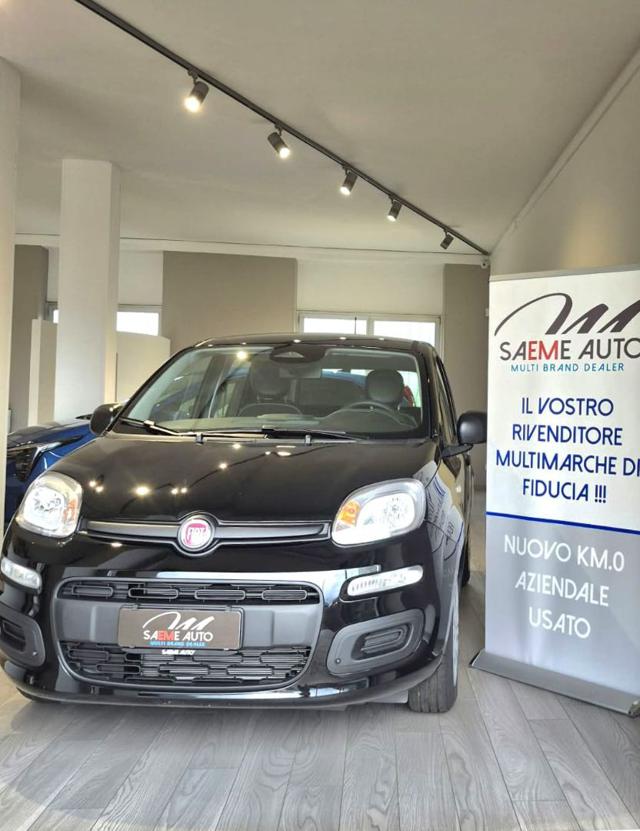 Fiat Pandina 1.0 FireFly 65 CV Hybrid Icon, del 2026, in vendita a Domodossola (VB)