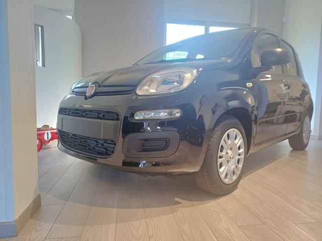 Fiat Pandina POP *ADAS km 0 a DOMODOSSOLA