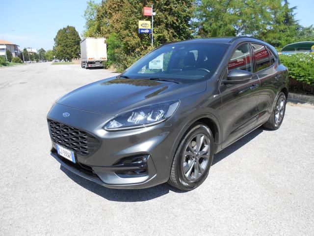 Ford Kuga 2.0 EcoBlue Hybrid 150 CV 2WD ST-Line - foto 3 di 27