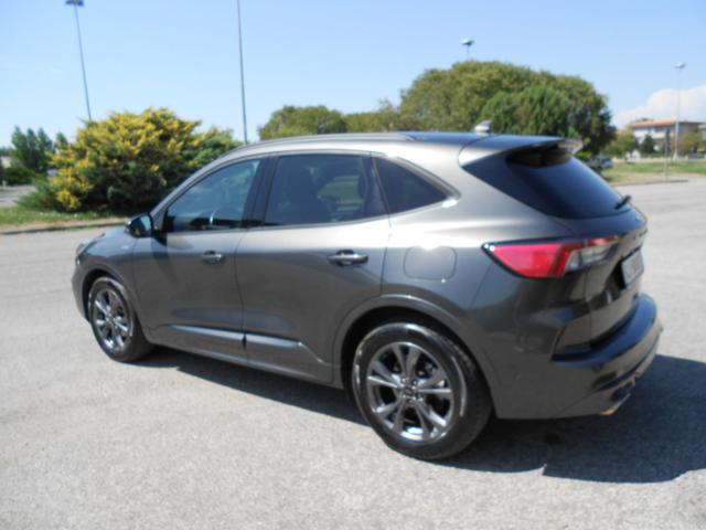 Ford Kuga 2.0 EcoBlue Hybrid 150 CV 2WD ST-Line - foto 4 di 27