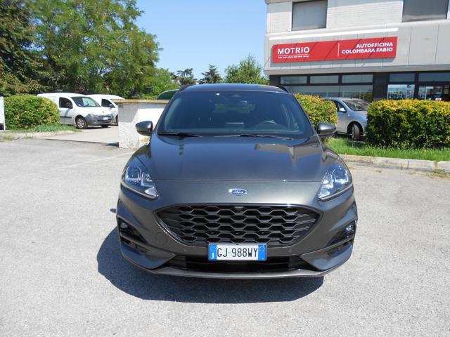 Ford Kuga 2.0 EcoBlue Hybrid 150 CV 2WD ST-Line - foto 2 di 27