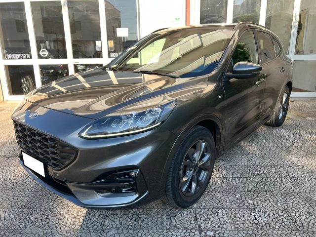 Ford Kuga 1.5 EcoBlue 120 CV 2WD ST-Line - foto 2 di 4