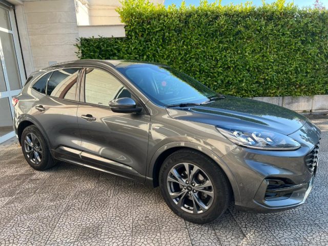 Ford Kuga 1.5 EcoBlue 120 CV 2WD ST-Line - foto 3 di 4