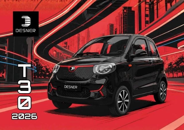 DESNER T30 T30, in vendita a Potenza (PZ)