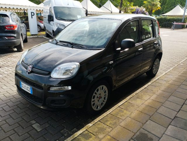 Fiat Panda 1.0 FireFly S&S Hybrid usato a MASSERANO