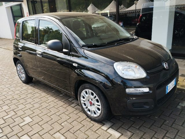 Fiat Panda 1.0 FireFly S&S Hybrid usato a MASSERANO