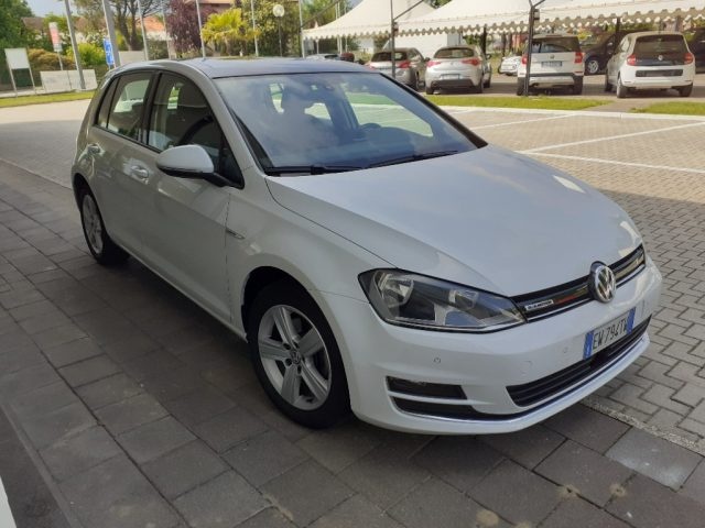 Volkswagen Golf Business 1.4 TGI DSG 5p. Highline BlueMotion - foto 2 di 4