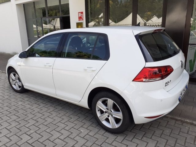 Volkswagen Golf Business 1.4 TGI DSG 5p. Highline BlueMotion - foto 4 di 4