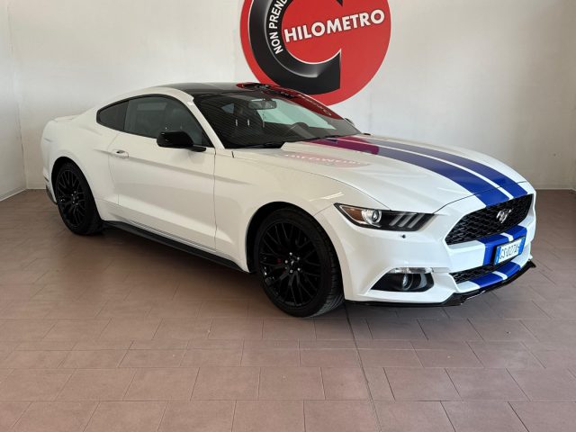 Ford Mustang FASTBACK 2.3 EcoBoost usato a CROCETTA DEL MONTELLO