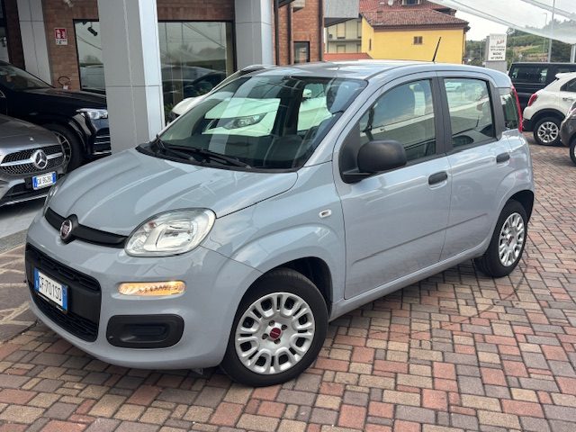 Fiat Panda 1.0 FireFly S&S Hybrid usato a GUARENE